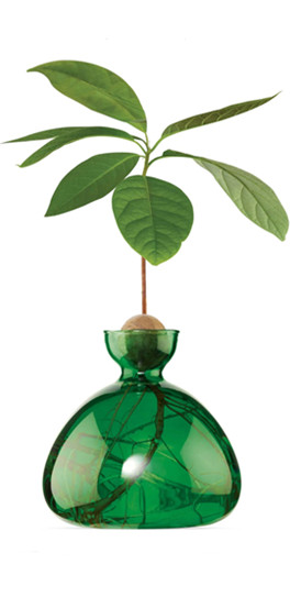 online-shopping-38-40-shop-specials-avocado-vase-in-emerald-green-cheap_1_副本
